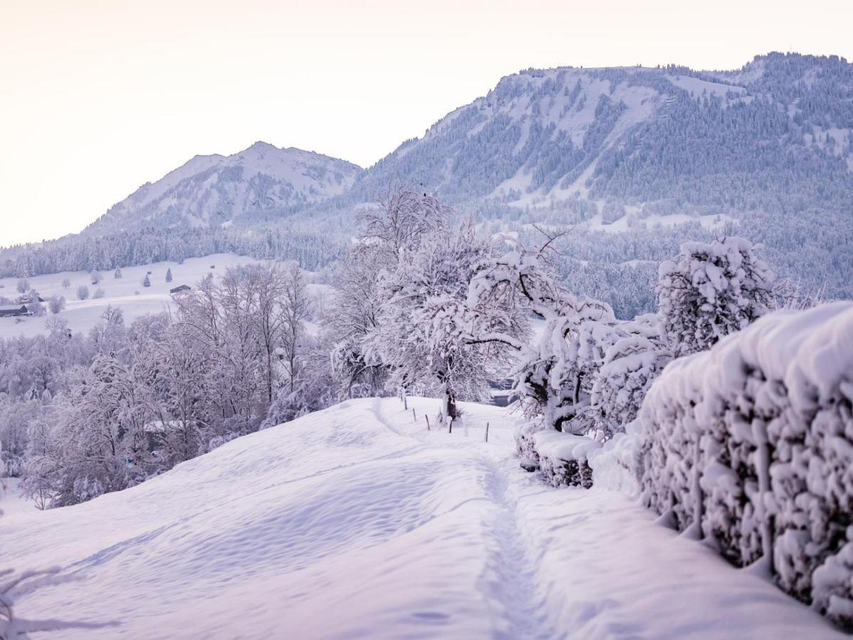 Ninis - Ferienhaus Im Bregenzerwald إغ المظهر الخارجي الصورة